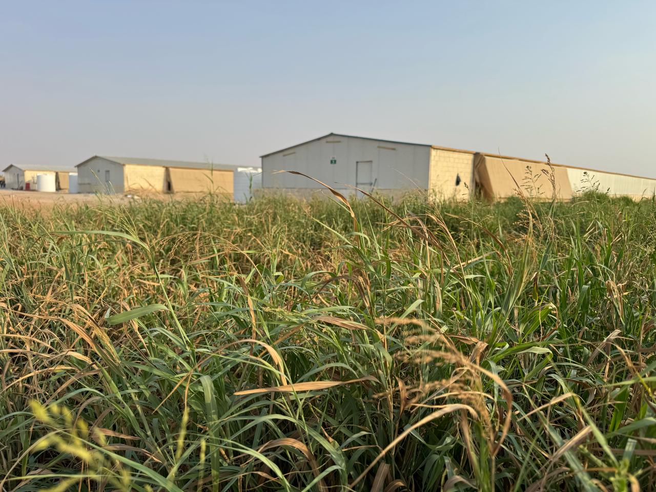 Estera Farms - Modern Agricultural Facilities